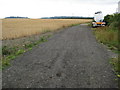 Wheat field near Honeybourne