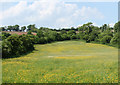 2010 : Looking north from Hollow Marsh Lane