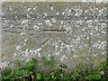 Bench mark on Cawston St Agnes