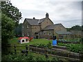 House and garden alongside the railway