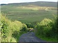 View down the farm track to the main road