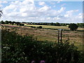 Looking north from the Greenway