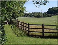 SX8178 : Fence, Bovey Tracey by Derek Harper