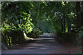 Road to Ashmore Farm, Bridge of Cally