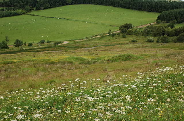 Medieval mine pits near West Linton © Jim Barton cc-by-sa/2.0 ...