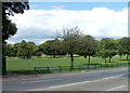 Llandaff Fields, Cardiff