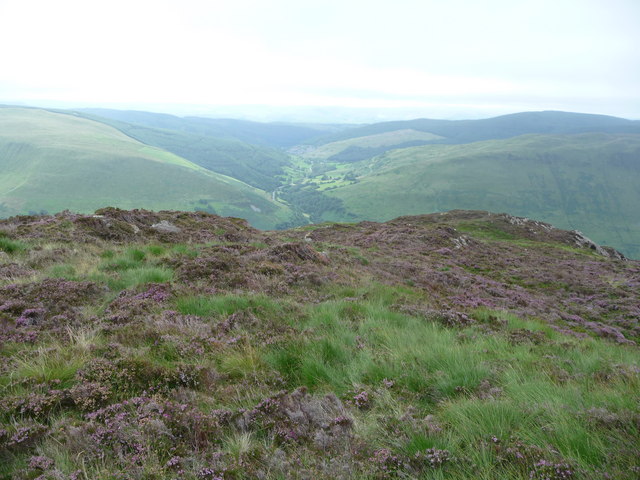 Heathery hillside near the Minffordd... © Jeremy Bolwell :: Geograph ...