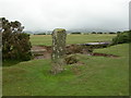 Plaster Down, milestone