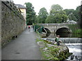 Tavistock, fish screen