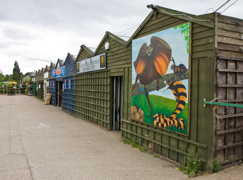 Crews Hill Reptiles © Martin Addison cc-by-sa/2.0 :: Geograph Britain ...