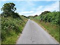 The road uphill from Llanfihangal Farm