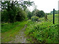 Footpath to Upper Broadmeadow Farm