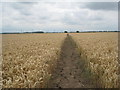 Footpath to Derrythorpe