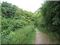 Axholme Trail looking North