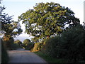 Turning, for Ford Farm