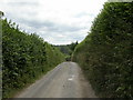 Cranborne, country lane