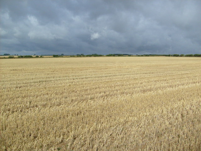 Cock Moor, Scarborough (YO13 9EB)