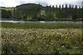 Pitlyal or the Round Loch, near Auchterhouse