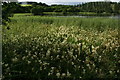 Pitlyal or the Round Loch, near Auchterhouse