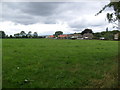 Farmland, Ebberston