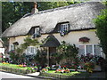 Thatched cottage in West Lulworth