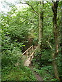 Footbridge over the infant Walton Brook