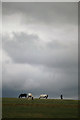 Dark sky over Brinsley Hill