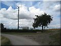 Mobile phone mast at High Burnham