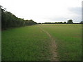 Path to Haxey Carr (2)