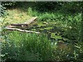 Pond near the site of Lees Hall Farm - demolished in the 1960