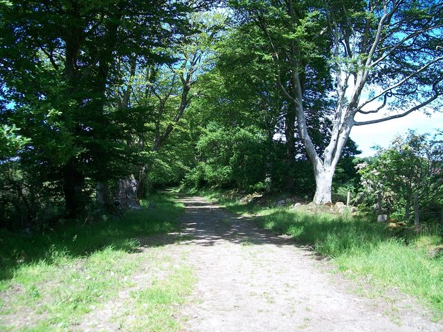 Y Lon Goed south of Gaerwen © Eric Jones :: Geograph Britain and Ireland