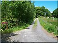 Farm road to Ynys Graianog