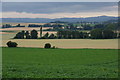 View over Strathmore from Balbrogie, near Coupar Angus