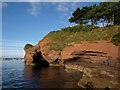 Cave, Livermead Head