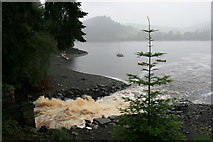 SJ0119 : Water entering Lake Vyrnwy / Llyn Efyrnwy by Edward Lewis