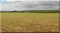 Newly harvested field