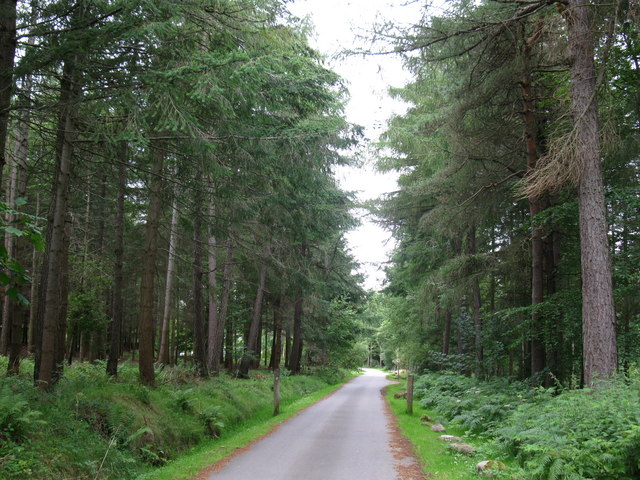 Entrance to Culloden Wood and Forestry School