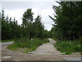 Footpath by the road to Balloch