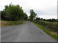 H5536 : Road at Struveel by Kenneth  Allen