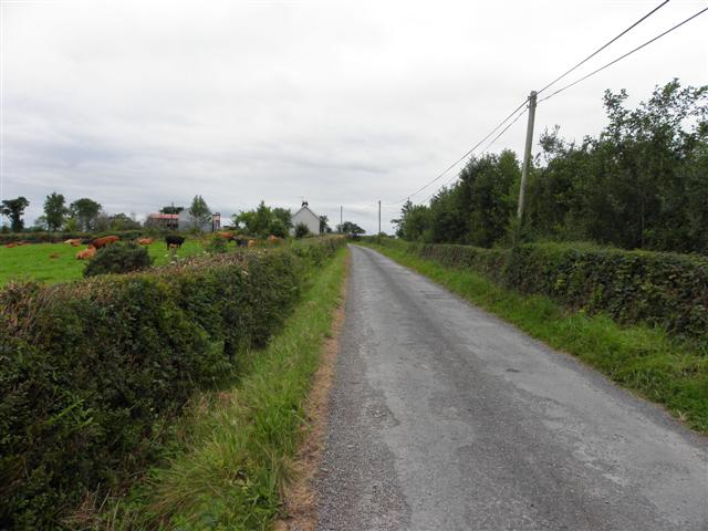 Road near Cornacreeve