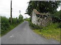 H5836 : Road at Gola Irish by Kenneth  Allen