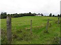 Derryneese Townland