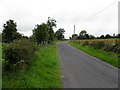 Bruscarnagh Road, Corrieshigo