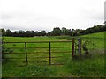 Greaghnamoyle Townland