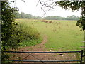 Farmland viewed from Rachels Lock canal bridge