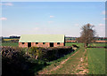 Shed with a Green Roof