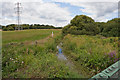 Moors River looking upstream from A31