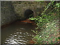 Culvert under Steep Road near Pinehurst Cottage