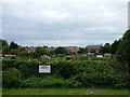 Allotments and new flats