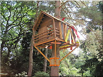 SJ7481 : Unusual treehouse by Paddy Griffin